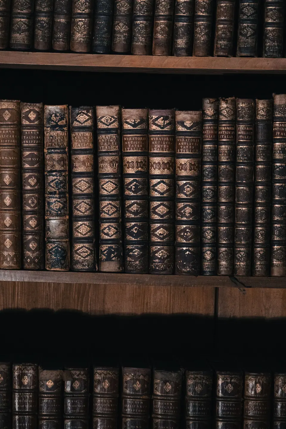 Kitap & Cilt adası